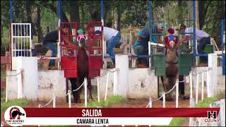 Club Hipico El triunfo Punetesiño Carrera de Caballo Ruano Boli Vs Gauchiña [upl. by Nyvets]