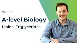 Lipids Triglycerides  Alevel Biology  OCR AQA Edexcel [upl. by Salamanca]