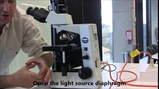 Introduction to the Compound Microscope [upl. by Dulcie]