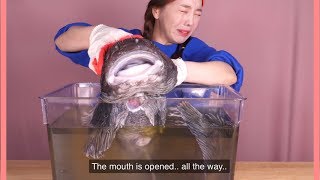 Ssoyoung fighting with her food for 11minutes straight 🦞 [upl. by Eimyaj]