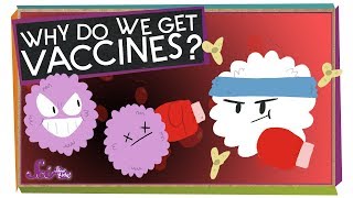 Why Do We Get Vaccines [upl. by Esadnac683]