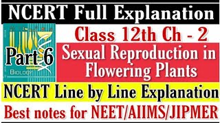 NEET 2023  Sexual Reproduction in Flowering Plants class 12th Complete NCERT Explanation [upl. by Oeramed]