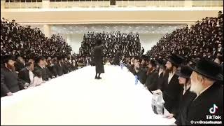 R’ Elimelech Biderman gig [upl. by Jayne997]