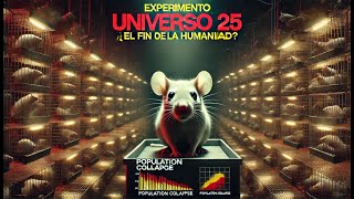 UNIVERSO 25 [upl. by Urania]