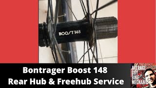 Bontrager Boost 148 Rear Hub and Freehub Service [upl. by Winthrop131]