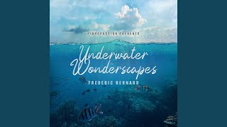 Underwater Wonderscapes [upl. by Ekalb]