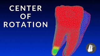 Center of Rotation  Essential Biomechanics [upl. by Glenna]