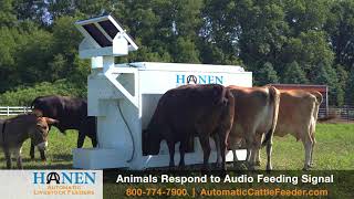 Hanen Automatic Livestock Feeders [upl. by Thetes]