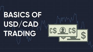 How to Trade the USDCAD Forex Pair [upl. by Wonacott]