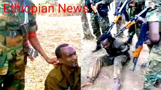 Ethiopian News  ሰበር ዜና ዛሬ  zena  Ethiopian News today  zena tube  zehanesha  zena youtube [upl. by Eatnuhs903]