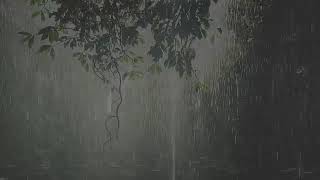 Sonidos de Lluvia y Truenos relajante para dormir 30 minutos [upl. by Torin]