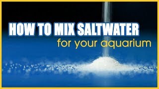 How to Mix Saltwater for Your Aquarium A Step by Step Tutorial [upl. by Oad]