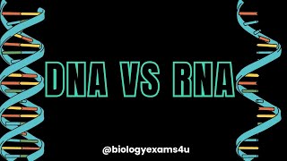 5 Major Differences between DNA and RNA  DNA vs RNA [upl. by Ahsikal]