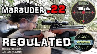 Benjamin Marauder 22 Air Rifle  50 amp 100 Yard Accuracy TEST  FULL REVIEW  Regulated PCP Airgun [upl. by Laidlaw]