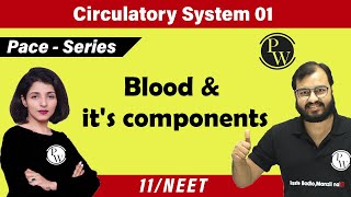 Circulatory System 01  Blood and its components  Class 11 NEET  PACE SERIES [upl. by Aikam904]