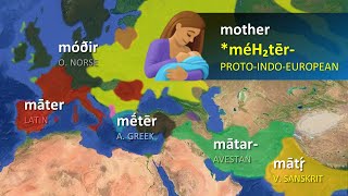 IndoEuropean Languages  Word Comparisons [upl. by Colwin224]