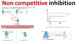 Noncompetitive inhibition derivation and physiological contex [upl. by Adnolay]