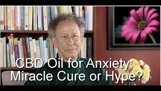 CBD Oil for Anxiety Miracle Cure or Hype [upl. by Gnart]