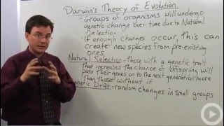 Darwins Theory of Evolution [upl. by Dannel]