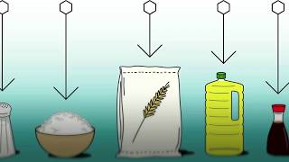 Food Fortification  Basics [upl. by Neeron]