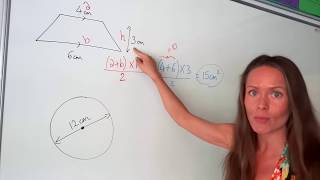 The Maths Prof Area of Shapes [upl. by Aelahs207]