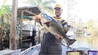 2019 Bassmaster Elite Series at St Johns River [upl. by Jaworski728]