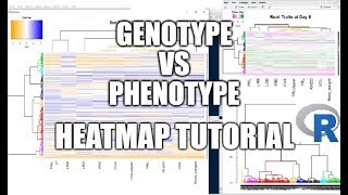 Heatmap with Dendrogram in R Tutorial [upl. by Enileuqkcaj]