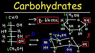 Carbohydrates  Haworth amp Fischer Projections With Chair Conformations [upl. by Ruperta959]