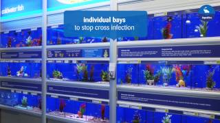 Making our pets at home  Aquatics [upl. by Thoma27]