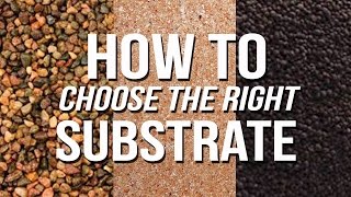 HOW TO Choose an Aquarium Substrate [upl. by Yrag558]