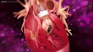 Heart animations medical 3D animations Herz Animationen Medizinische 3D Animationen [upl. by Noet827]