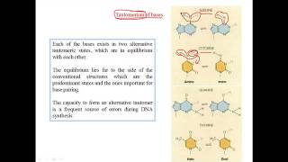 Tautomerization of bases [upl. by Eppilihp]