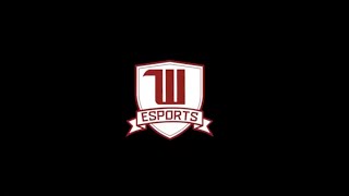 Welcome Wittenberg Esports [upl. by Alain]