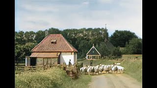 Texel De Parel Der Waddenzee in 1943 in kleur The beautiful Dutch island of Texel in 1943 in color [upl. by Avon]