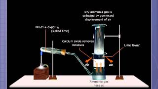 Preparation of Ammonia [upl. by Yleoj]