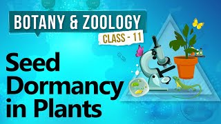 Seed Dormancy in Plants  Plant Growth and Development  Biology Class 11 [upl. by Ajay944]