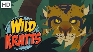 Wild Kratts  The Deadliest Felines in Nature [upl. by Argyres]