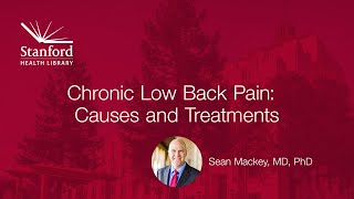 What Causes Lower Back Pain on One Side [upl. by Asirap]