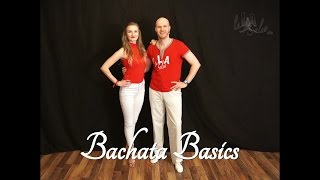 Bachata Basics  Anfänger Tanzkurs  Beginner Lesson [upl. by Thorpe]