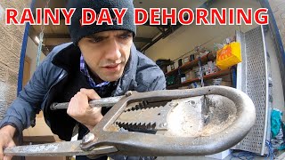 DEHORNING CALVES 2021  VLOG 15 Dehorning in the rain [upl. by Nimzzaj885]