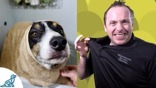 Simple Hacks To Bath Your Dog  Professional Dog Training Tips [upl. by Cassi]