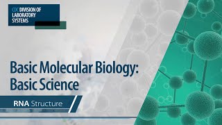 Basic Molecular Biology Basic Science – RNA Structure [upl. by Aliahs]