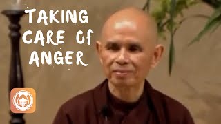 Taking Care of Anger  Thich Nhat Hanh short teaching video [upl. by Robaina]