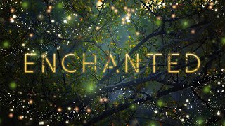 Audiomachine Curated Collection  Enchanted [upl. by Aramoj]