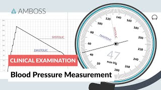 Blood Pressure Measurement  Clinical Examination [upl. by Fagin636]