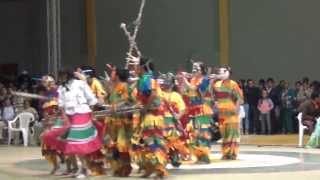 Danza Los Matachines del Tolima Sesquilé Cundinamarca 2012 [upl. by Irfan672]