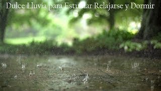 Lluvia Suave y Relajante • Alivia el Estrés y la Ansiedad para Dormir Profundamente • 6 Horas [upl. by Raynah691]