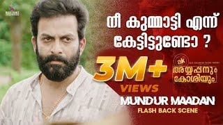 നീ കുമ്മാട്ടി എന്ന്‌ കേട്ടിട്ടുണ്ടോ  Ayyappanum Koshiyum Scene  Prithviraj Sukumaran  Biju Menon [upl. by Ennovahs]