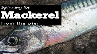 Spinning for Mackerel from the pier  Sea Fishing UK [upl. by Ellerehc]