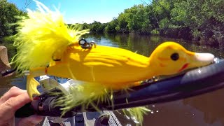 Fishing A Duck Lure For MONSTER Pike [upl. by Fronniah]